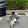 [김수지] 웃으면 복이 와요. 中2
