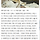 태어나서 처음 민원글 올려봄