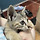 ＜입양홍보＞ 🐱태어난지 한달차 주차장 에어컨 실외기 뒤에서 이틀 내내 울던 아기고양이 ‘로또’ 한번 보고가 🥹💖