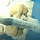 실제로 항우울제를 복용해야 했던 북극곰 gif