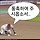 ⚾️❤️ 인천 야구단 달글 ‼️직관전시금지‼️ 1076차