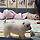 강아지 <b>유튜브</b> 중에 제일 좋음