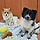 2/24(토) <b>보은</b>쉼터 유기견 봉사 있음! (사당 -＞ 보호소)