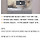 [단독]무차별 학대당한 <b>진돗개</b>…피투성이로 발견