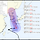 제 6호 태풍 <b>카눈</b>(KHANUN) 기상청 | 2023년 08월 06일 16시 00분 발표