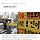 대구 신천지 ,방역 방해 혐의 관련 1심 판결 결과 모두 무죄