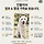 [입양/임보 홍보] 5년을 견사에서 산 진돌이가 3일 뒤 다시 견사로 돌아가야 해 ㅠㅠ
