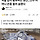 목줄 없이 활보하던 맹견…견주 어머니 온몸 물려 숨졌다