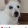 <b>창원</b>애견유치원폭행사건