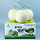 🍯🍈꿀뚝뚝 멜론의 도시, <b>춘천</b>달글🍈🍯17차🐔[핑갭X 댓삭X]🐔