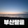 🌺 ❌관광객 출입금지 여행질문 절대사절❌ 부산 달글 171차 🌺