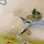 배달 계란찜 존맛.gif