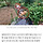 <b>안성</b> 금석천 폐수 유출...이번에 유명 식품회사
