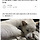 <b>진도</b>는 사랑이야..