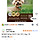 강아지 키우는 여시덜 다이소 <b>간식</b> 맥여?