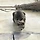 잿더미 속에서 살아 돌아온 고양이…임신한 몸으로 구조 기다렸다