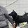 방치견 돌봐주는 달글 4차🐕🐕🐕🐕