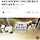 <b>보성</b>서 90대 할머니 기르던 개에 물려 치료받다 숨져