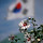 광복절에 트위터 모음 헤는 밤