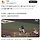 [KBO] 두산팬 : 안돌아갔다고 하자!!! / 한화팬 : 돌았어!!!!!