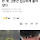8살 습격한 '목줄 풀린 개', 2분간 집요하게 물어댔다