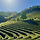 전남 <b>보성</b>