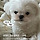 ❤️ <b>SSG</b> LANDERS🛸V6를 위한 달글 1301차 ❤️