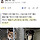 유기견 팔아서 생색내는 부산시 반려동물과(feat. 하얀비둘기)
