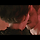 결혼을 앞둔 커플인데요. 각자 딴사람과도 잤잤을 해보고 싶은데 어쩌죠?.gif