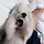 아 존나 <b>isfj</b> 개짜증나고 좋고 짜증나고 좊고 ㅆ ㅣ잘 지들이먼데