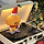 ❤️🎄 <b>대전</b>광역시 달글 67차 🎄❤️