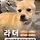제발 도와줘 한번만 읽어줘