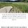 수몰마을 드러난 <b>청도</b> 결국 계획 단수···경주는 40.3도 기록