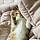 고양이😻키우는 <b>집사</b>들 달글❤️❤️