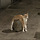 <b>마포</b>구 용지 6개 맞지?