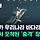 한국의 고래고기집들이 유지되고, 고래축제기간에는 혼획량이 늘어나는 이유