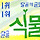 🌲식물키우기 달글 141차 (첫댓,본문확인 필수) 🌱🌹🌴 🌵🌾🍁🌞🌡🌧