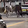 <b>평택</b> 멋찌네..