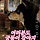 전주에 유명한 강아지 <b>진도</b>야 시바야?