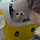 <b>윈터</b> 강아지 데리고왔네