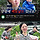 <b>양평</b>군청 엠버서더 된 햄튜브(최승현)