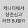 윤지오님 아프리카bj 시절 제보