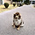🐾 경기도 <b>양주</b>시에서 강아지 주인 분을 찾습니다 🐾