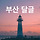 🌺🐯🌺백퍼센터 부산 달글 61차(여행 관련 질문 금지)