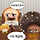 월루<b>퍼즐</b> ＜8개＞