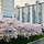 🌼🌼🌼🌼🌼한줌 <b>경산</b> 달글 2차🌼🌼🌼🌼🌼