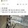 산불에 달궈진 쇠 목줄 묶인 채 구조 기다리는 동물들