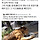 조선시대 여인들의 기백에 놀라 기절하는 달글