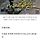 [오늘의 날씨] 전국 오전에 비 또는 눈