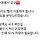 광주에서 구조된 방치견들 <b>용인</b> 이동봉사 급구